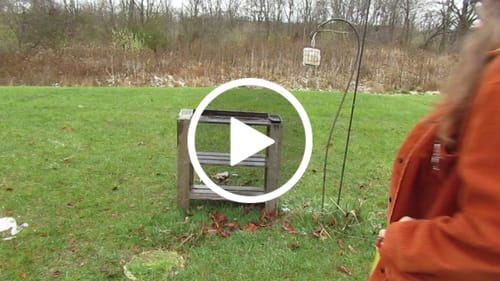 Jodie (julie) G. review of Solid Color Kitchen Florist Apron image 1 out of 1