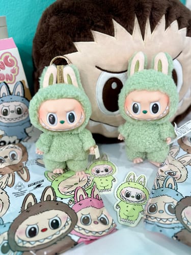 Customer photo review of POP MART The Monsters Exciting Macaron Series Plush Pendant Blind Box