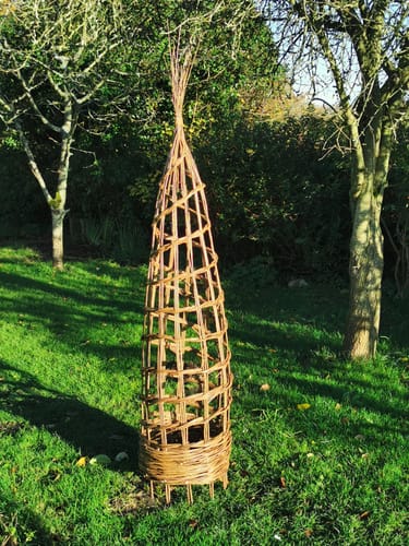 Customer photo review of The Willow Plant Support - Online Course and Kit
