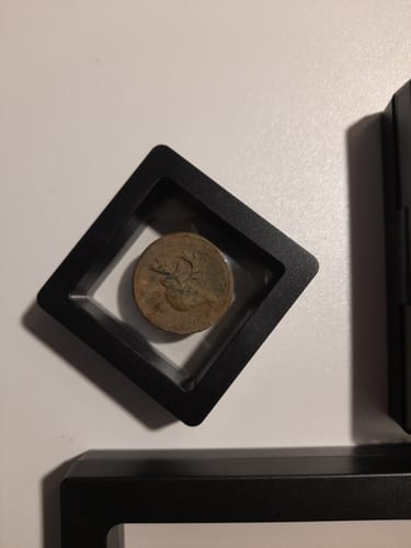 Customer photo review of Equinox 6 inch DD Coil - Minelab