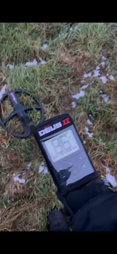 Customer photo review of XP Deus II RC mit GRATIS MI-6