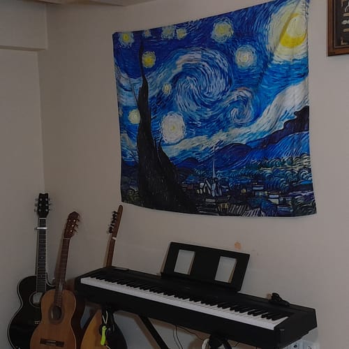 Customer photo review of Van Gogh - The Starry Night
