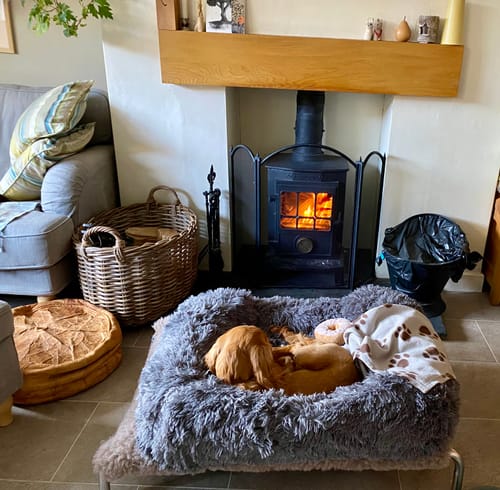 Customer photo review of HiK9 Bed with Fawn Mesh Cover