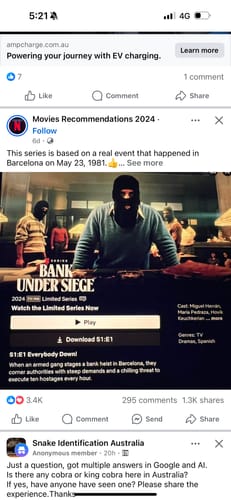 Customer photo review of 888 Gold Rat sluice - with Mini cell Dream mat