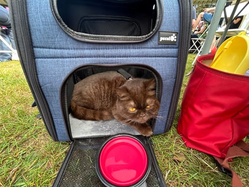 Customer photo review of Timothy Hay Box 'Coarse Cut'