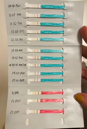 Customer photo review of Ovulation Test Strips