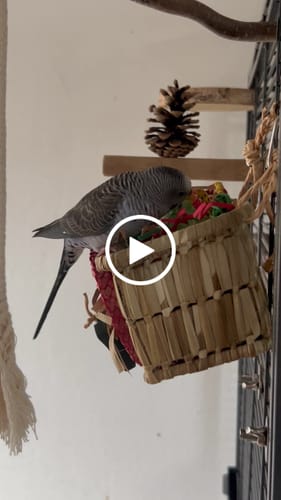 Customer video review of Weihnachts-Überraschungskorb