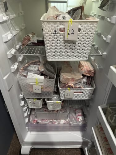Customer photo review of Quarter Cow (Deposit)