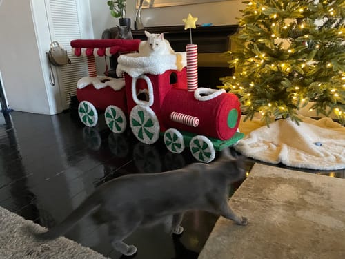 Customer photo review of ZeZe Christmas Train Cat Tree: Holiday-Themed Climbing Frame & Toy for Cats