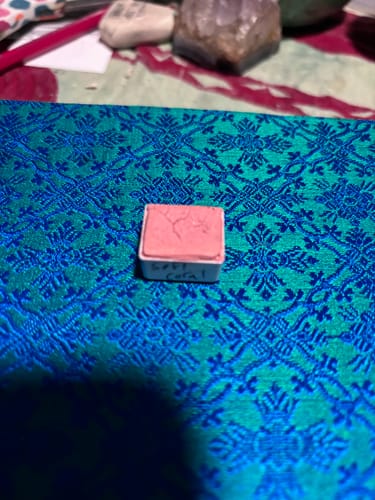 Customer photo review of SOFT CORAL