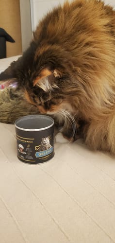 Customer photo review of Gelenk Gummies