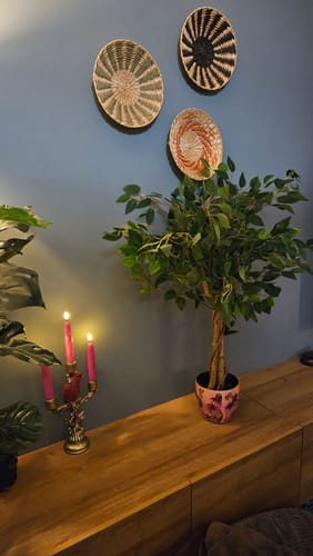 Customer photo review of Ficus Kunstboom 90cm