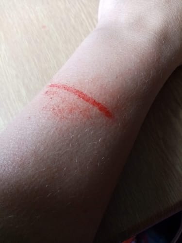Customer photo review of Ripper FX - 'Bloody' Mini Pocket Alcohol Palette