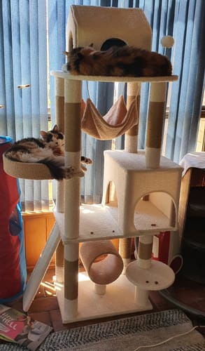 Customer photo review of Ona's Cottage Multi-Tier Cat Tree with Cat Scratching Posts