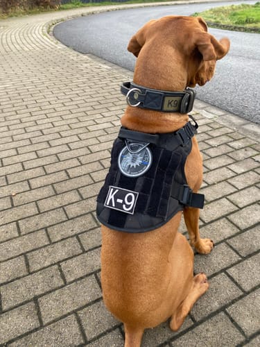 Customer photo review of #EINERVONUNS Spenden-Patch