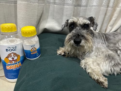 Customer photo review of Paquete Peludos - Membresía - 2 Piezas de 850 grs + Envío GRATIS