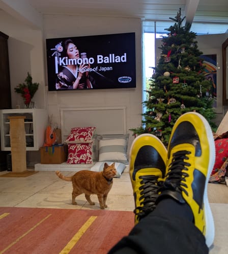 Customer photo review of MORRO BAY Golden Panda