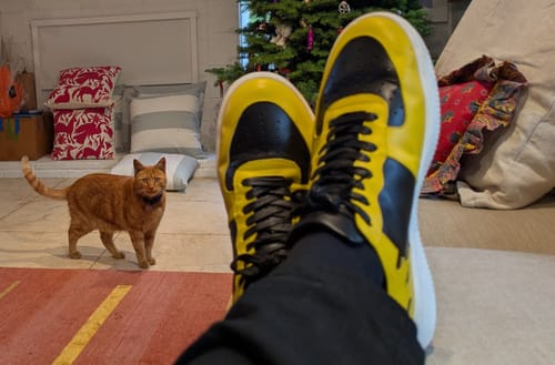 Customer photo review of MORRO BAY Golden Panda