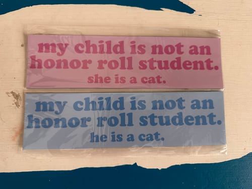 Customer photo review of Honor Roll Boy Cat Car Magnet