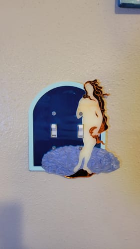 Customer photo review of Birth of Venus Light Switch Cover