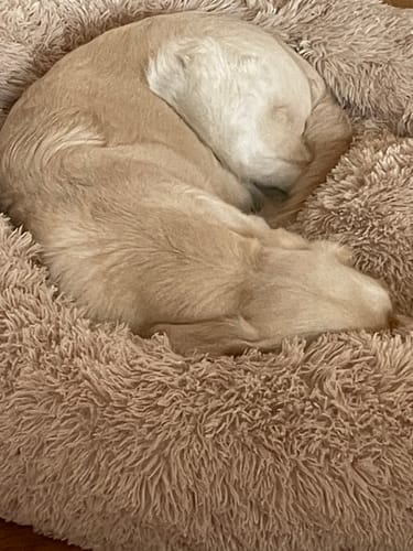 Customer photo review of CalmBed - Motverkar stress & hjälper mot ångest