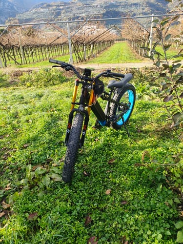 Customer photo review of Lankeleisi RV700 1000W 26" Fat Bike Full Suspension E-Mountainbike 48V 16Ah E-MTB