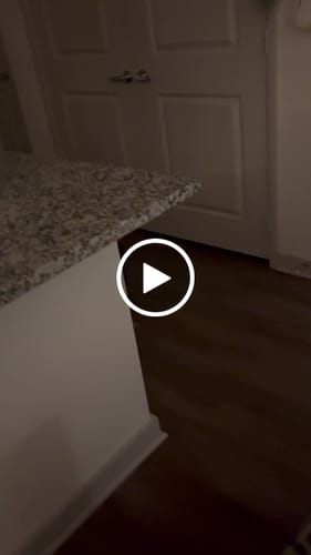 undefined review of SPEEDY TAIL 2.0 image 1 out of 1