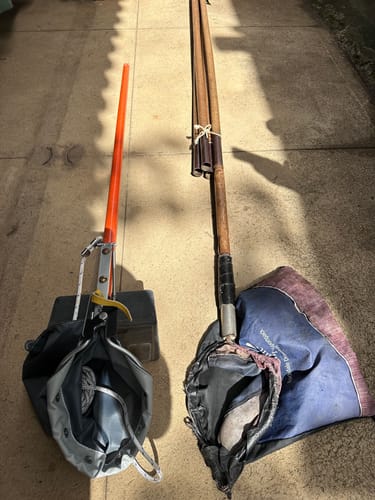 Customer photo review of Fruit Picker Head with Bag- Avocado Picker