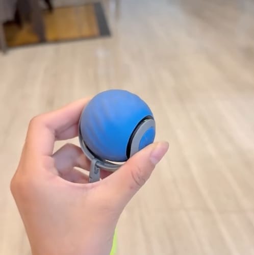 Clara M. review of SPEEDY TAIL 2.0 image 1 out of 1