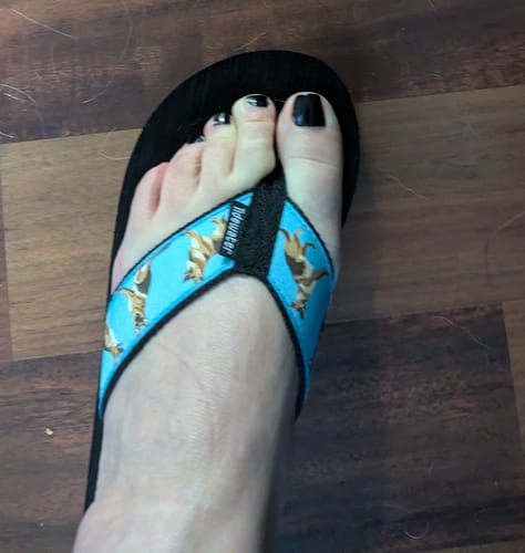 Customer photo review of German Shepherds