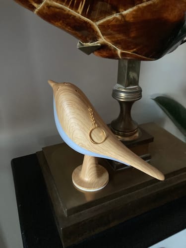 Customer photo review of BirdZen - Lampe de Chevet