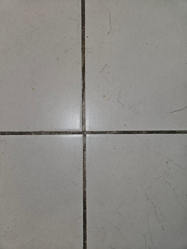 Customer photo review of Cepillo de Limpieza Multiusos (Mango ajustable)