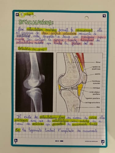 Avis photo d'un client sur Fiches de révision REVISION 2.0 OXFORD # 50 fiches 14,8 x 21 cm - petits carreaux