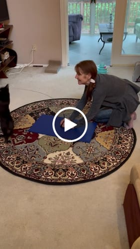 Customer video review of Interactive Bird Simulation Cat Toy Set | Leo's Paw