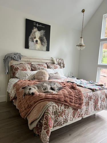 Customer photo review of Pet Art Canvas Wrap