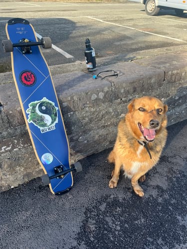 Customer photo review of Travelol - Place V3 - Navy Blue 46