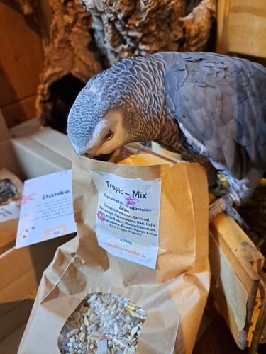 Customer photo review of Tropic Mix