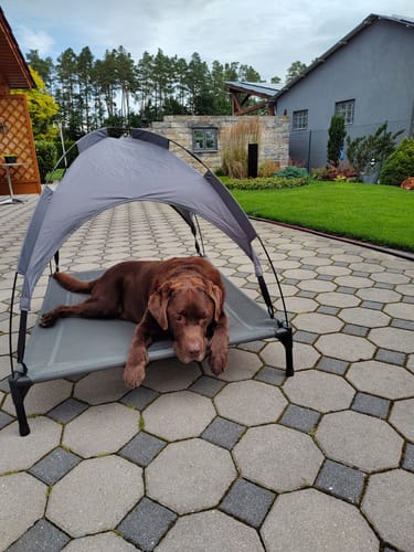 Customer photo review of Animatio® Profi-Rasendünger