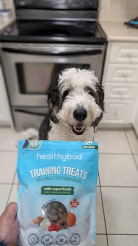 Customer photo review of Beef Mini Training Treats