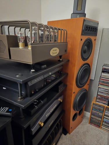 Customer photo review of DST Dual Firing AMT Ribbon Super Tweeter Speaker Pair