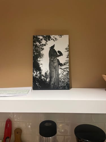 Customer photo review of 8x12 Gallery Wrapped Prints