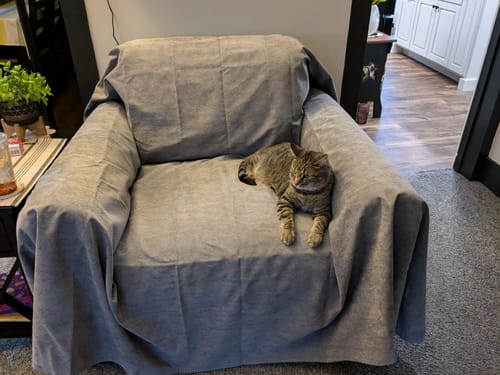 Customer photo review of Waterproof Sofa Covers for Dogs Cats Home pet Couch Protector , Blanket Couch Cover