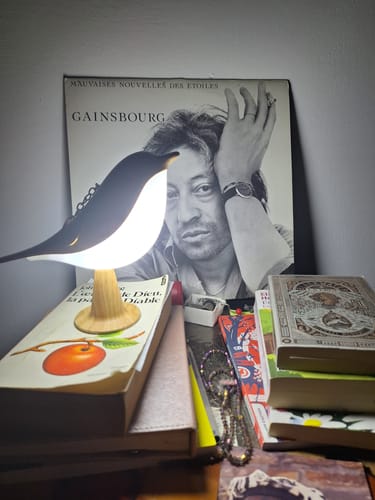Customer photo review of BirdZen - Lampe de Chevet