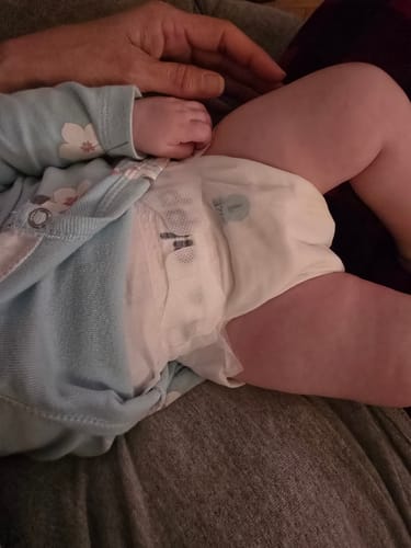 Customer photo review of Alppi Sample Pack