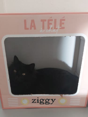 Avis photo d'un client sur Litière Végétale pour chat 100% Naturelle