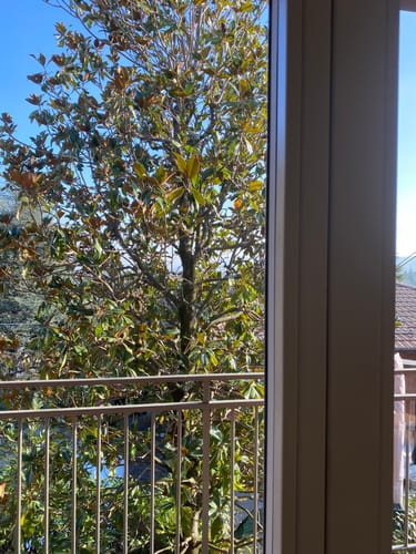Customer photo review of Kit Vetri: Panno + Sapone Neutro