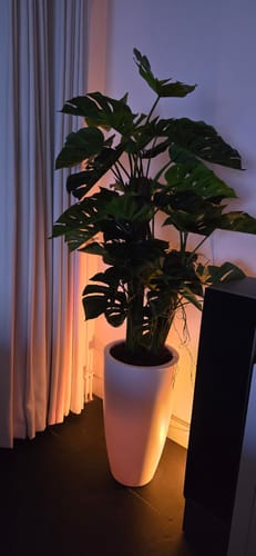 Customer photo review of Monstera Kunstplant 120cm