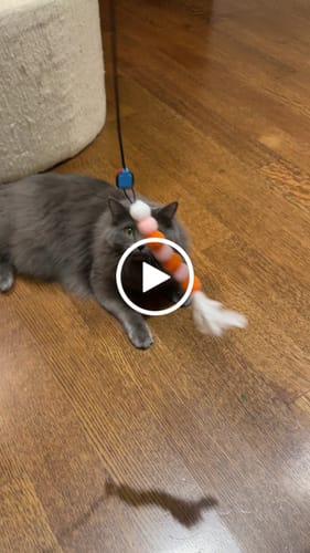 Customer video review of Magnetic Catch Wand