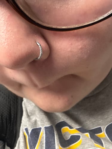 Customer photo review of Triple Sided Micro Gem Titanium Hinged Nose Hoop