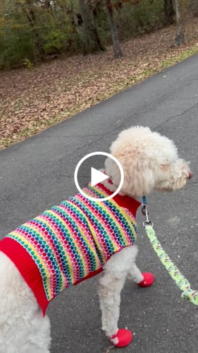 Customer video review of WagWellies® by wagwear